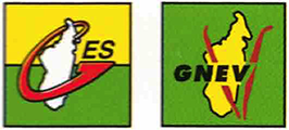 logos GES (Groupement des Entreprises de la SAVA) et GNEV (Groupement des Exportateurs de Vanille)